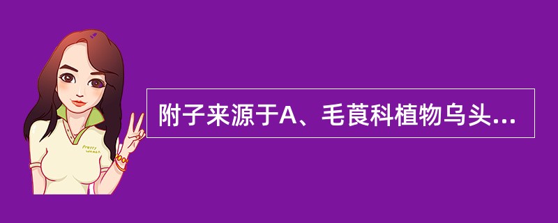 附子来源于A、毛莨科植物乌头的主根B、毛莨科植物北乌头的主根C、毛莨科植物草乌的