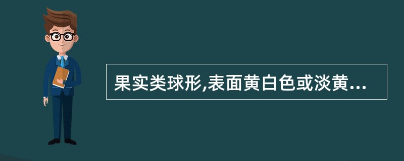 果实类球形,表面黄白色或淡黄棕色,有3条较深的纵向槽纹,气芳香,味辛凉略似樟脑的