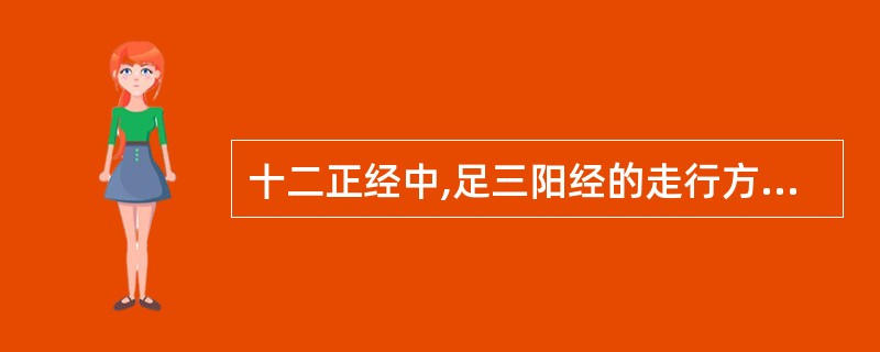 十二正经中,足三阳经的走行方向是A、从头走足B、从头走手C、从足走头D、从足走腹