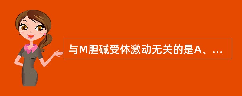 与M胆碱受体激动无关的是A、心率减慢B、腺体分泌增加C、瞳孔括约肌、睫状肌收缩D