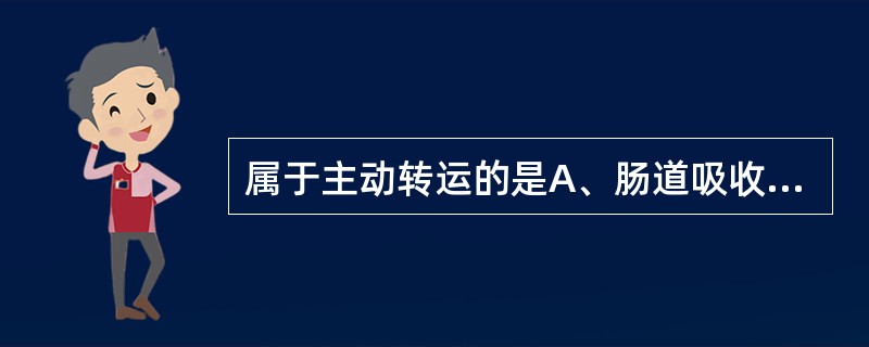 属于主动转运的是A、肠道吸收B、乳汁排泄C、肾小球滤过D、肾小管分泌E、肾小管再