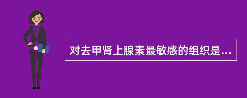 对去甲肾上腺素最敏感的组织是A、支气管平滑肌B、胃肠道平滑肌C、冠状血管D、骨骼