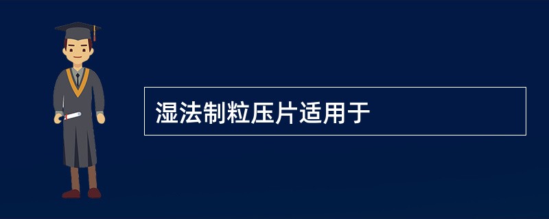 湿法制粒压片适用于