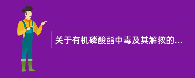 关于有机磷酸酯中毒及其解救的叙述,错误的是A、有机磷酸酯类对胆碱酯酶的抑制作用持