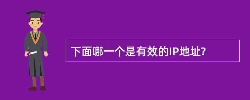 下面哪一个是有效的IP地址?