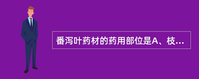 番泻叶药材的药用部位是A、枝条B、枝梢及叶C、地上部分D、复叶E、小叶