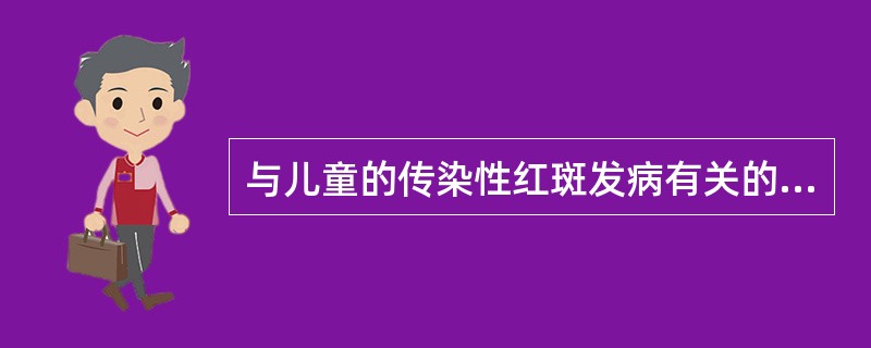 与儿童的传染性红斑发病有关的病毒是A、微小病毒B、风疹病毒C、巨细胞病毒D、出血