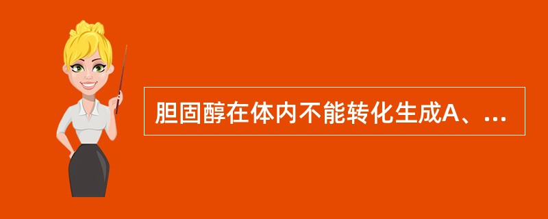 胆固醇在体内不能转化生成A、胆色素B、肾上腺皮质激素C、胆汁酸D、性激素E、维生