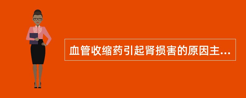 血管收缩药引起肾损害的原因主要为A、析出结晶B、肾小管阻塞C、直接肾损害D、肾血