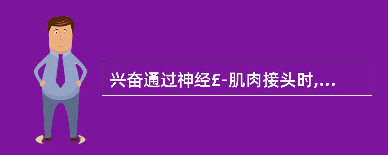 兴奋通过神经£­肌肉接头时,ACh与受体结合使终板膜A、对Na、K通透性增加,发