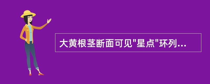 大黄根茎断面可见"星点"环列或散在分布于A、韧皮部B、木质部C、皮层D、韧皮部及