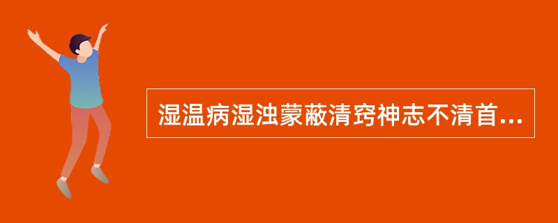 湿温病湿浊蒙蔽清窍神志不清首选的药组是