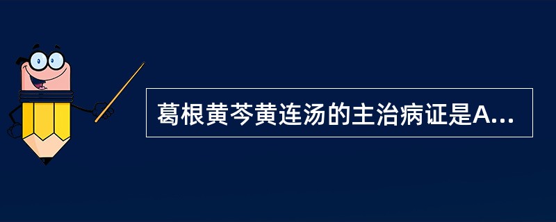 葛根黄芩黄连汤的主治病证是A、协热下利B、热毒血痢C、热结旁流D、湿热痢疾E、虚