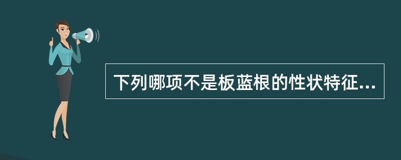 下列哪项不是板蓝根的性状特征A、根头部略膨大B、根头部可见暗绿色的叶柄残基C、质