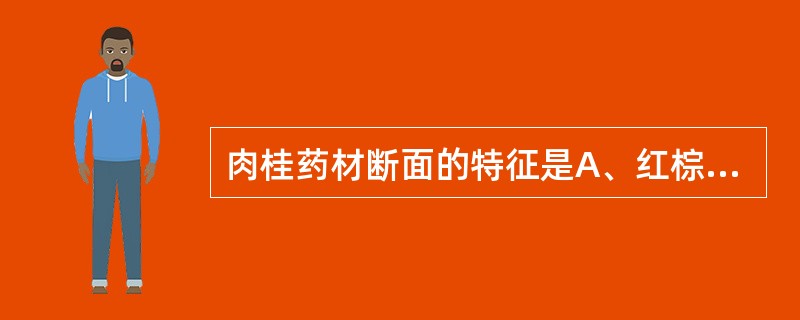 肉桂药材断面的特征是A、红棕色,纤维性强B、外侧呈棕色而粗糙,内侧红棕色而油润,