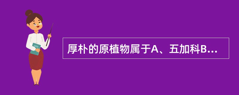 厚朴的原植物属于A、五加科B、萝摩科C、木兰科D、木犀科E、毛茛科