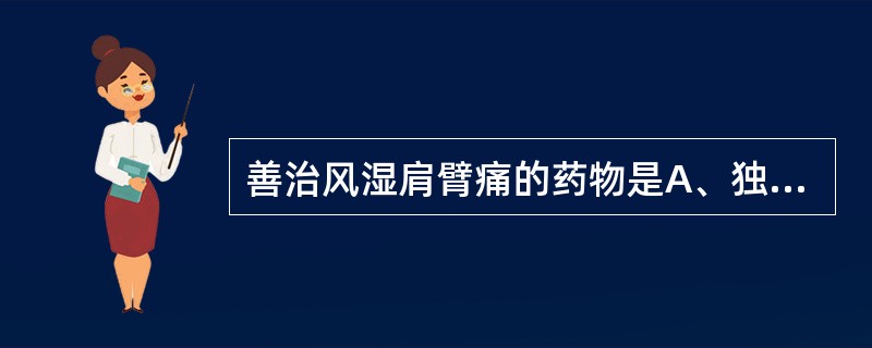 善治风湿肩臂痛的药物是A、独活B、防风C、姜黄D、川芎E、桑寄生