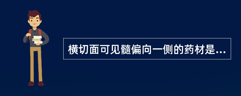 横切面可见髓偏向一侧的药材是A、苏木B、大血藤C、川木通D、沉香E、鸡血藤 -