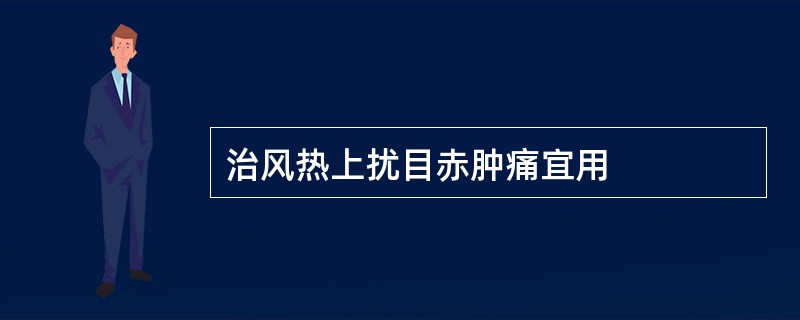 治风热上扰目赤肿痛宜用