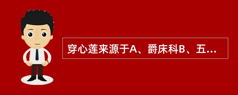 穿心莲来源于A、爵床科B、五加科C、唇形科D、菊科E、伞形科