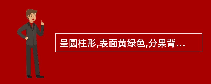 呈圆柱形,表面黄绿色,分果背面有纵棱5条,具特异香气,味微甜、辛的药材是