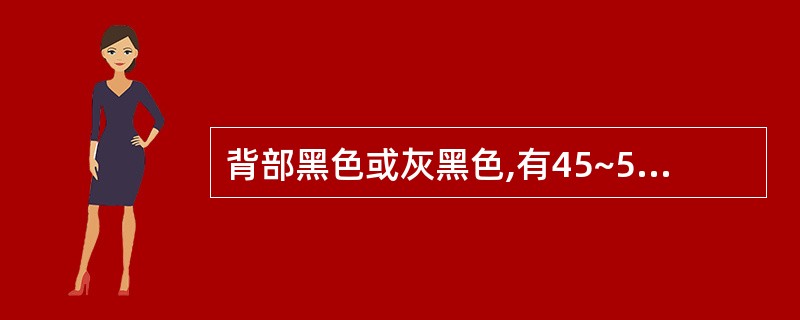 背部黑色或灰黑色,有45~58个黑白相间环纹的药材是A、蛤蚧B、乌梢蛇C、金钱白