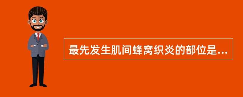 最先发生肌间蜂窝织炎的部位是A、肌纤维B、肌外膜C、肌间组织D、肌束膜E、肌内膜