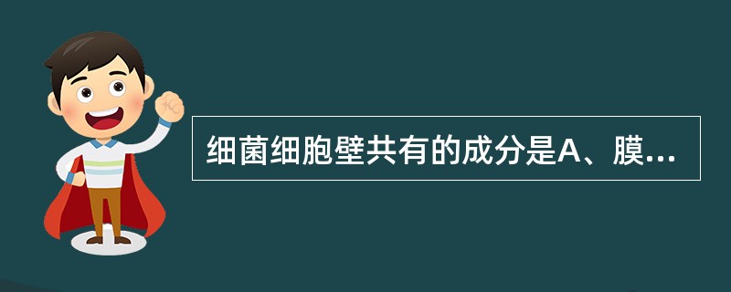 细菌细胞壁共有的成分是A、膜磷壁酸B、黏肽C、脂蛋白D、脂磷壁酸E、脂多糖 -