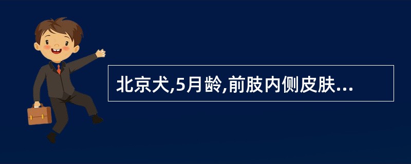 北京犬,5月龄,前肢内侧皮肤出现圆形脱毛、红斑、脓疱疹,有脓性分泌物。该病最可能