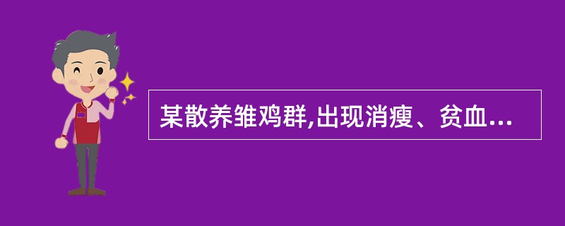 某散养雏鸡群,出现消瘦、贫血、下痢等症状,个别发病死亡。剖检见腺胃肿大呈球状,黏