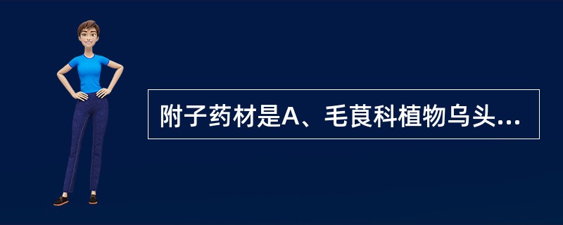 附子药材是A、毛茛科植物乌头子根的加工品B、毛茛科植物乌头的子根C、毛茛科植物北