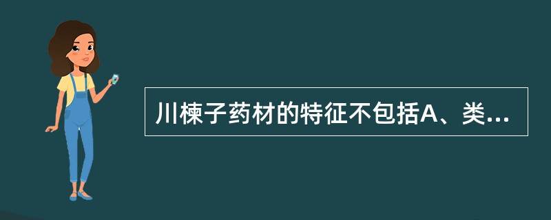 川楝子药材的特征不包括A、类球形B、表面金黄色至棕黄色C、果肉松软D、果肉遇水润