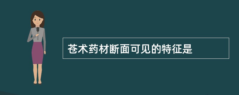 苍术药材断面可见的特征是