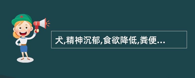 犬,精神沉郁,食欲降低,粪便恶臭,尿色黄,皮肤及结膜黄染,触诊肝区疼痛,叩诊肝浊