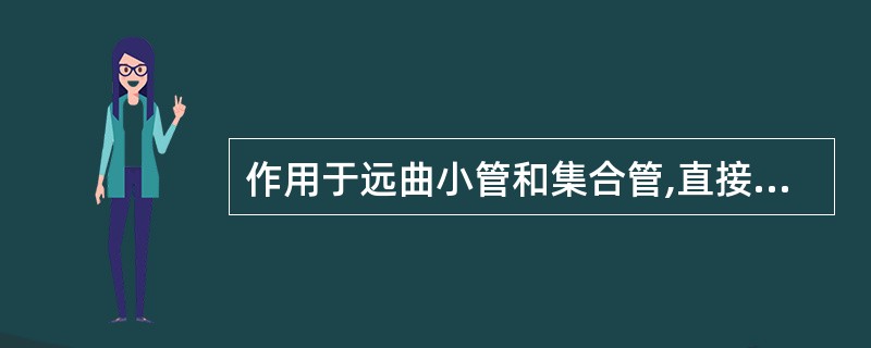 作用于远曲小管和集合管,直接抑制钠离子选择性通道( )