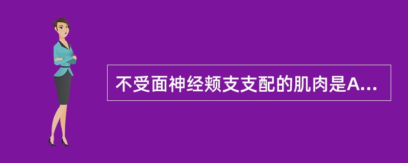 不受面神经颊支支配的肌肉是A、颊肌B、口轮匝肌C、眼轮匝肌D、提上唇肌E、笑肌