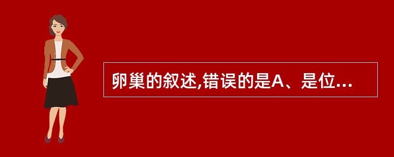 卵巢的叙述,错误的是A、是位于盆腔内成对的实质性器官B、内侧面与小肠相邻C、上端