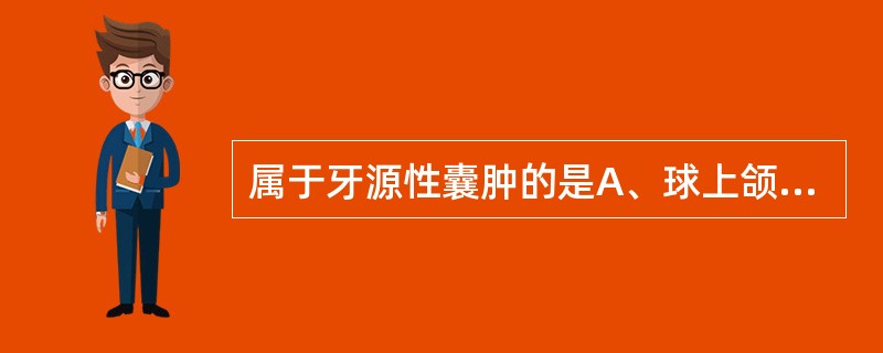 属于牙源性囊肿的是A、球上颌囊肿B、始基囊肿C、鼻唇囊肿D、上颌正中囊肿E、腮裂