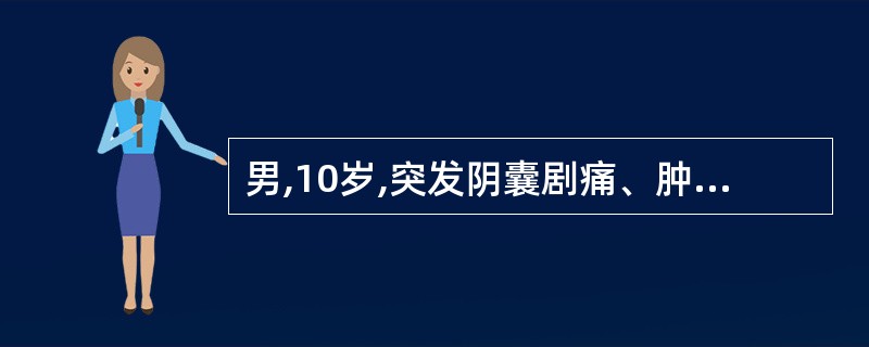 男,10岁,突发阴囊剧痛、肿胀。超声检查显示:睾丸轻度肿大,中等回声,2~3小时