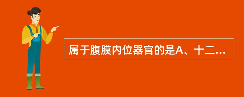 属于腹膜内位器官的是A、十二指肠降部B、降结肠C、胰腺D、子宫E、胃