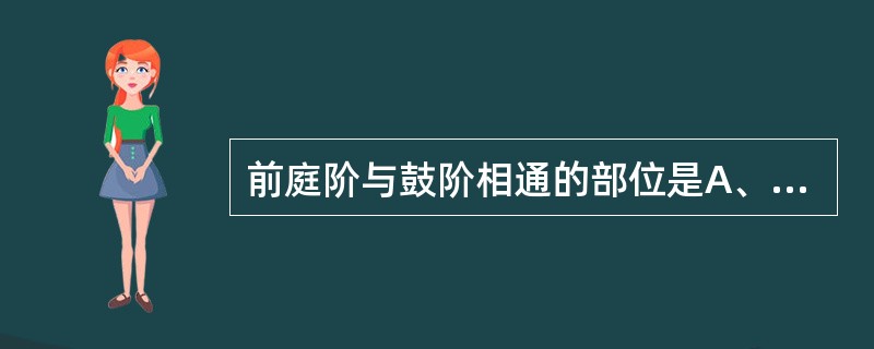 前庭阶与鼓阶相通的部位是A、卵圆窗B、蜗窗C、骨半规管D、膜半规管E、蜗孔 -