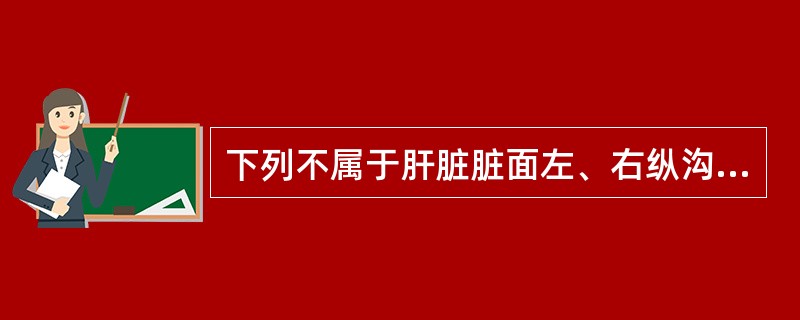 下列不属于肝脏脏面左、右纵沟内的结构的是A、静脉韧带B、胆囊窝C、下腔静脉沟D、