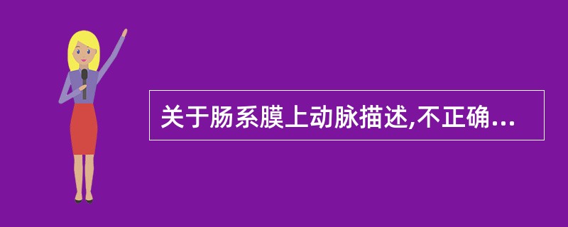 关于肠系膜上动脉描述,不正确的是A、起自腹腔动脉下方的腹主动脉B、与腹主动脉夹角