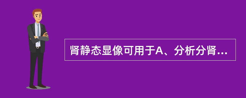 肾静态显像可用于A、分析分肾功能B、测定GFRC、测定ERPFD、鉴别肾脏占位性