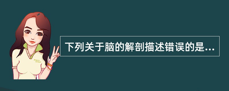 下列关于脑的解剖描述错误的是A、位于大脑半球内左右对称、不规则的腔隙即侧脑室B、