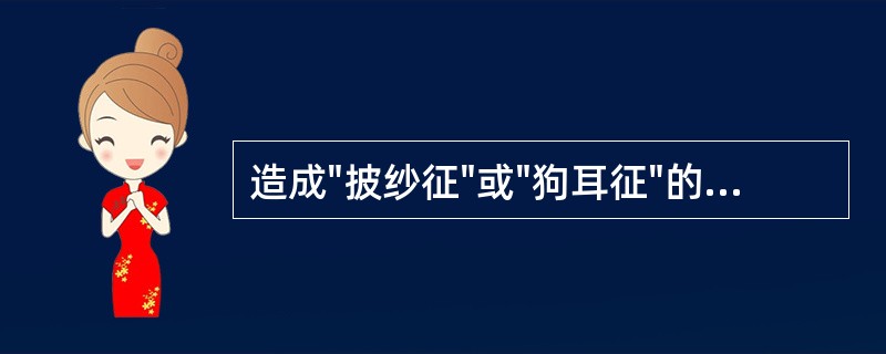 造成"披纱征"或"狗耳征"的伪像是A、棱镜伪像B、切片厚度伪像C、彗星尾征D、镜