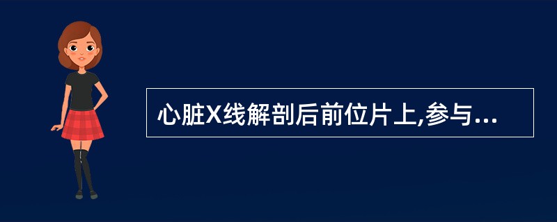 心脏X线解剖后前位片上,参与构成右心缘的有A、升主动脉B、肺静脉C、左心房D、左