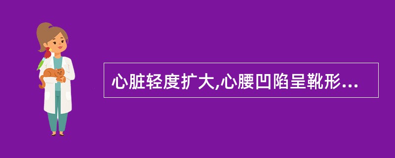 心脏轻度扩大,心腰凹陷呈靴形,右室右房增大,双侧肺门小,肺血减少,提示A、房间隔