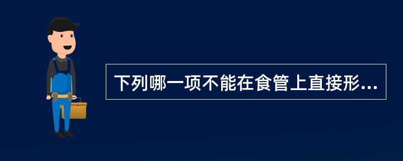 下列哪一项不能在食管上直接形成压迫A、主动脉弓B、肺动脉C、气管分叉D、左肺动脉