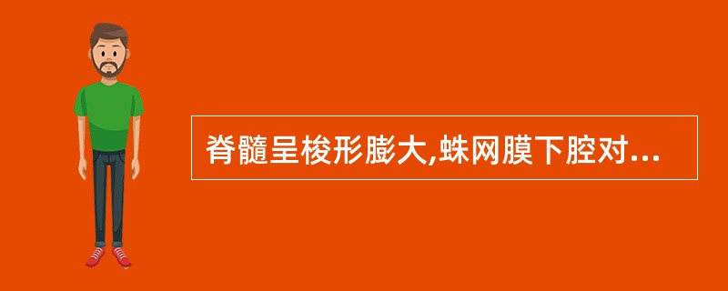 脊髓呈梭形膨大,蛛网膜下腔对称性狭窄,当肿瘤较大时可造成蛛网膜下腔完全阻塞,显示